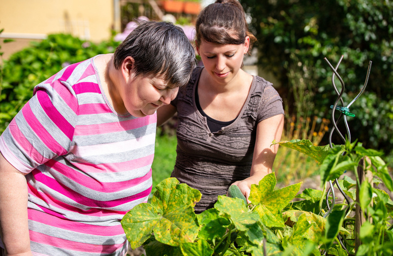 How To Talk About Social Care 