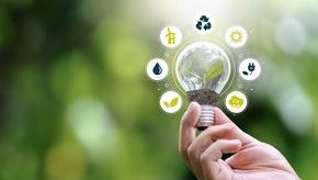 VODG Spotlight on Your Net Zero Journey | Actionable Steps for a Greener Future