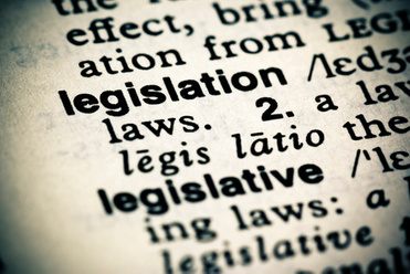 legislation print photo.jpg