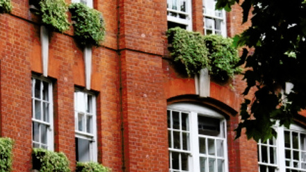 Renter Rights Trowers.jpg