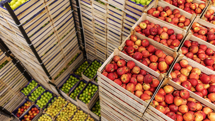 food and consumables 