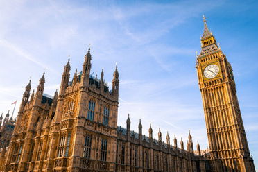 parliament photo.jpg 8