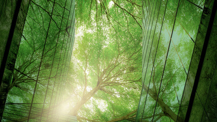 esg-tree-and-building